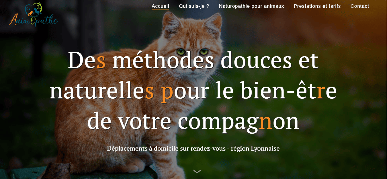 capture d'écran de l'intranet en ligne de ALTM - système de gestion des articles et fil d'actualté interne à la structure ALTM à lyon