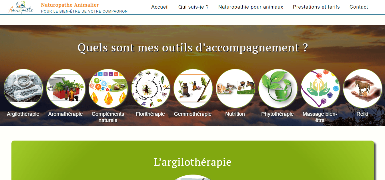 capture d'écran de l'intranet en ligne de ALTM - système de gestion de l'agenda des évenements présenté sur le site web du remède à lyon