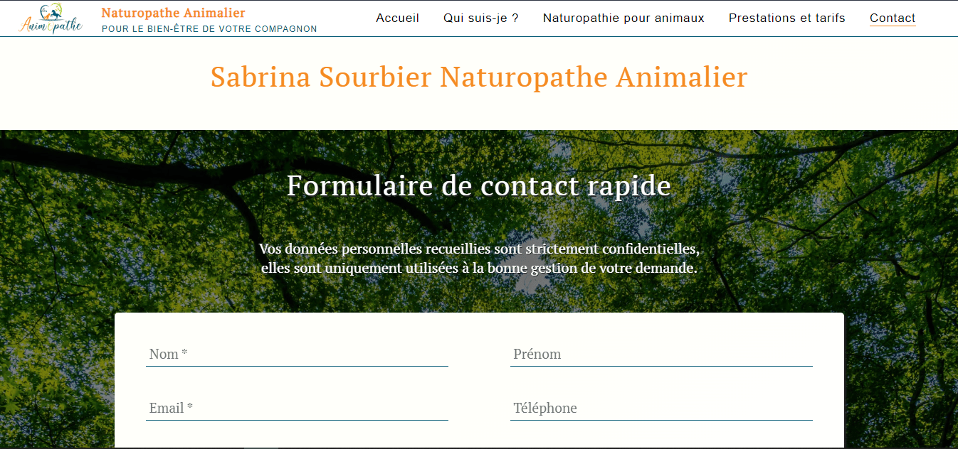 capture d'écran de l'intranet en ligne de ALTM - système de gestion des photos de la galerie du site web du remède à lyon