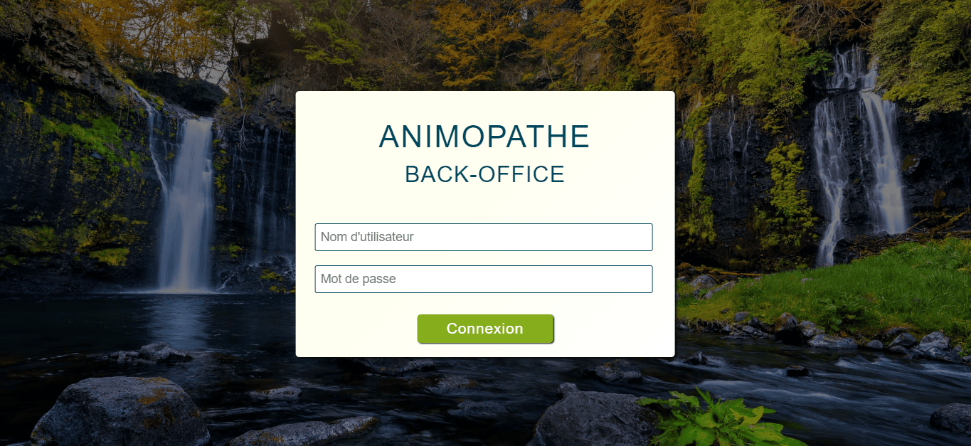 capture d'écran du site web sur-mesure de ALTM - page 