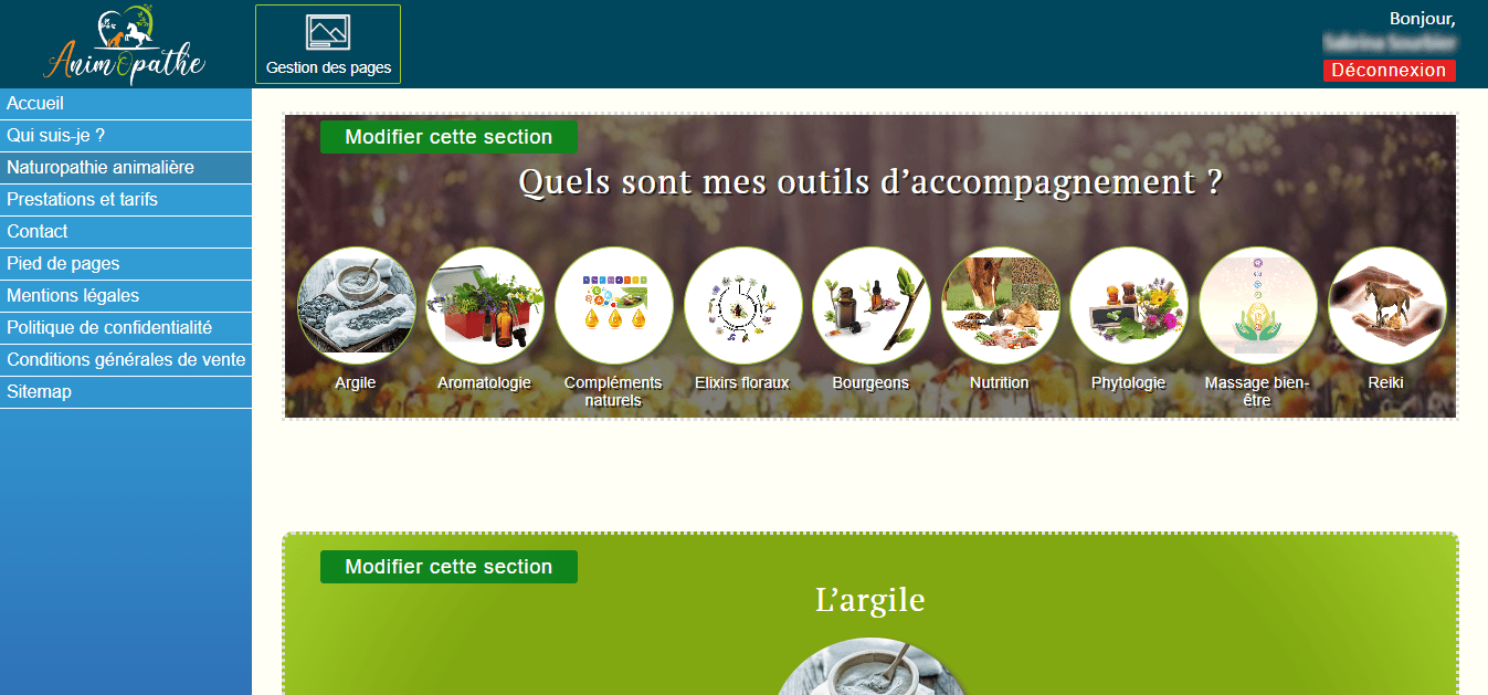 capture d'écran du site web sur-mesure de ALTM - page 